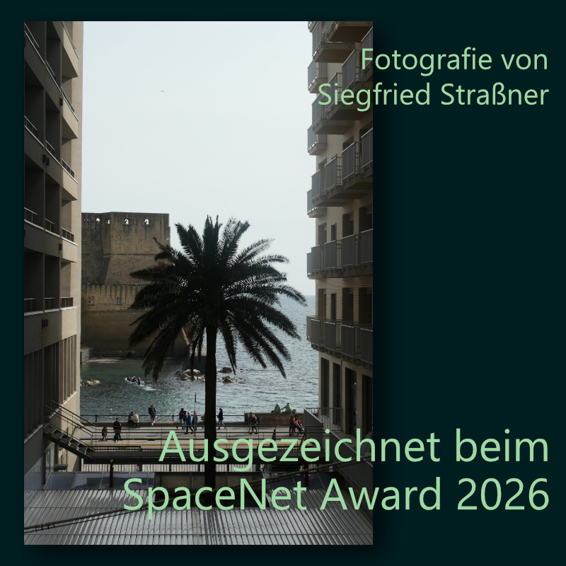 Ausgezeichnetes Foto beim SpaceNet Award 2026